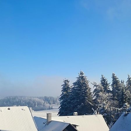 Pension Thueringer Wald Reichmannsdorf Екстер'єр фото