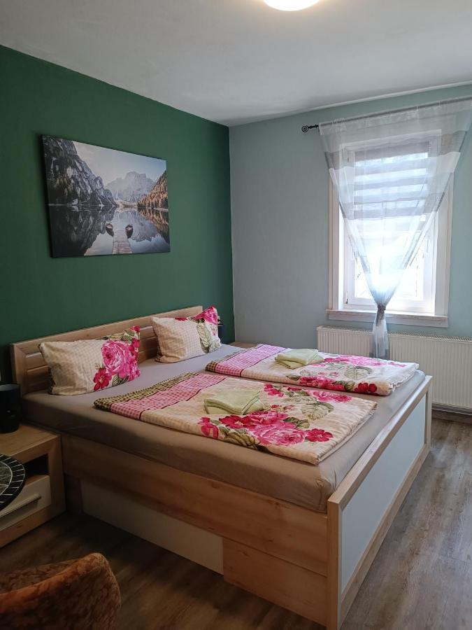 Pension Thueringer Wald Reichmannsdorf Екстер'єр фото